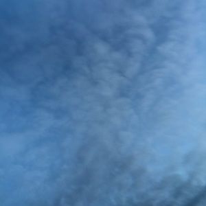 Meet your Posher, Maya